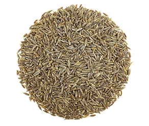 Cumin