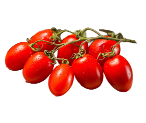 Tomato, Roma, fresh