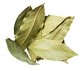 Bay Leaf