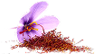 Saffron